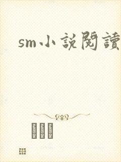 sm小说阅读