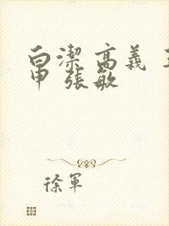 白洁 高义 王申 张敏封面