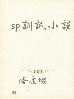 sp训诫小说