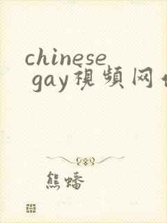 chinese gay视频网站