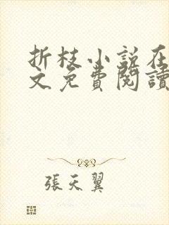 折枝小说在线全文免费阅读无弹窗