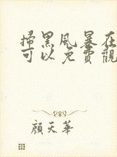 扫黑风暴在哪儿可以免费观看