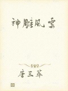 神雕风云