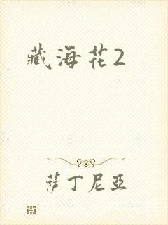 藏海花2封面
