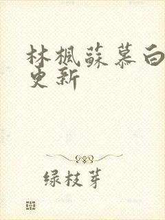 林枫苏慕白超前更新