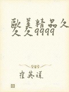 欧美精品久久久久久9999