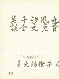 慕千汐凰九夜小说全文免费阅读