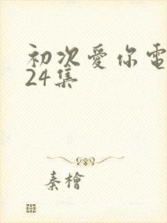 初次爱你电视剧24集封面