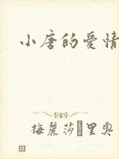 小唐的爱情史封面