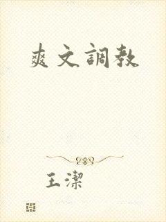 爽文调教