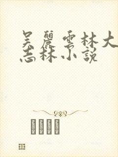 吴丽云林大娘王志林小说