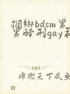 捆绑bdsm男男酷刑gay剃毛