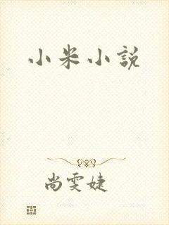 小米小说
