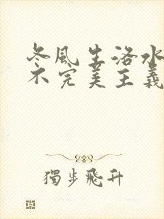 冬风生洛水po不完美主义者笔趣阁封面