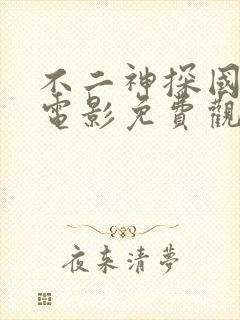 不二神探国语版电影免费观看