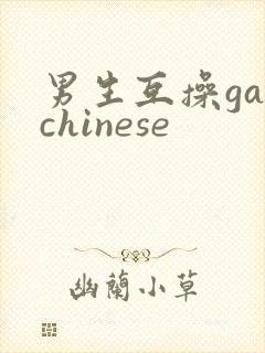 男生互操gaychinese