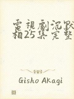 电视剧沉默的真相25集完整版免费