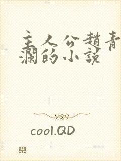 主人公赵青林安澜的小说