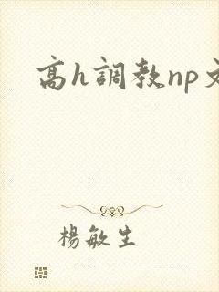 高h调教np文
