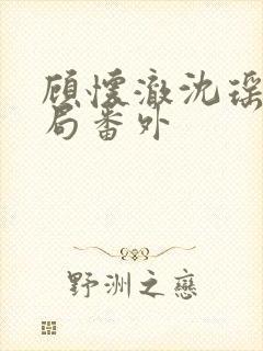 顾怀澈沈瑶大结局番外