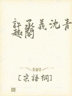 许承义沈青茵笔趣阁封面