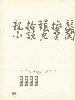 龙抬头抚琴的人小说免费阅读全文无删减