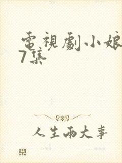 电视剧小娘惹17集封面