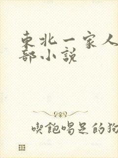东北一家人第一部小说封面