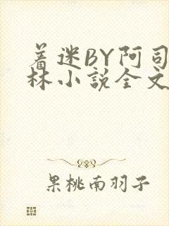 着迷BY阿司匹林小说全文免费阅读