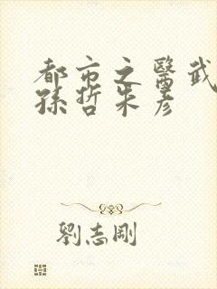 都市之医武风流孙哲朱彦封面