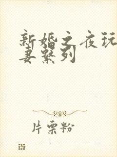 新婚之夜玩弄人妻系列封面