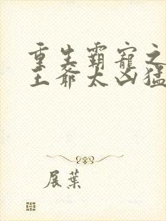 重生霸宠之摄政王爷太凶猛