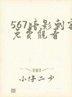 567暗影刺客免费观看