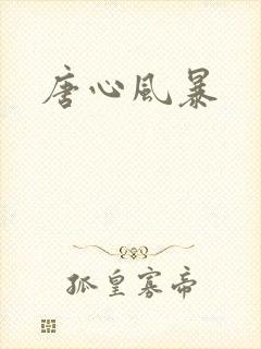 唐心风暴封面