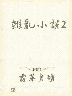 杂乱小说2