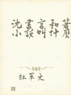 沈书言和萧淮的小说叫什么名字啊