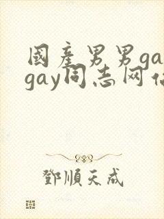 国产男男gaygay同志网站