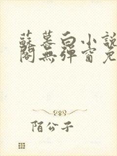 苏慕白小说笔趣阁无弹窗免费阅读