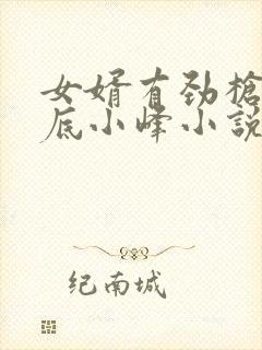 女婿有劲枪枪到底小峰小说封面