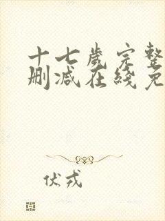 十七岁完整版未删减在线免费观看封面