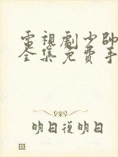 电视剧少帅48全集免费手机观看