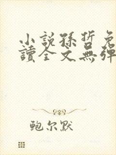 小说孙哲免费阅读全文无弹窗