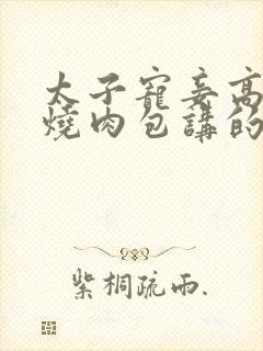 太子宠妾高肉红烧肉包讲的什么