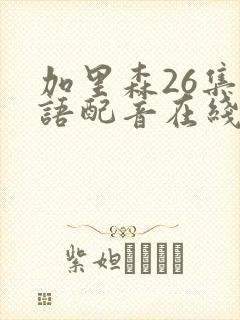 加里森26集国语配音在线观看免费