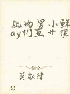 肌肉男小鲜肉gay们互艹视频