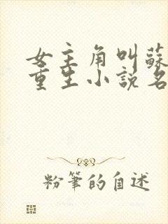 女主角叫苏念的重生小说名