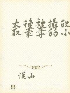 太后被摄政王强取豪夺的小说