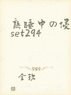 熟睡中の侵犯fset294封面
