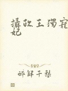 摄政王独宠小王妃