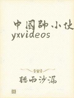 中国帅小伙gayxvideos